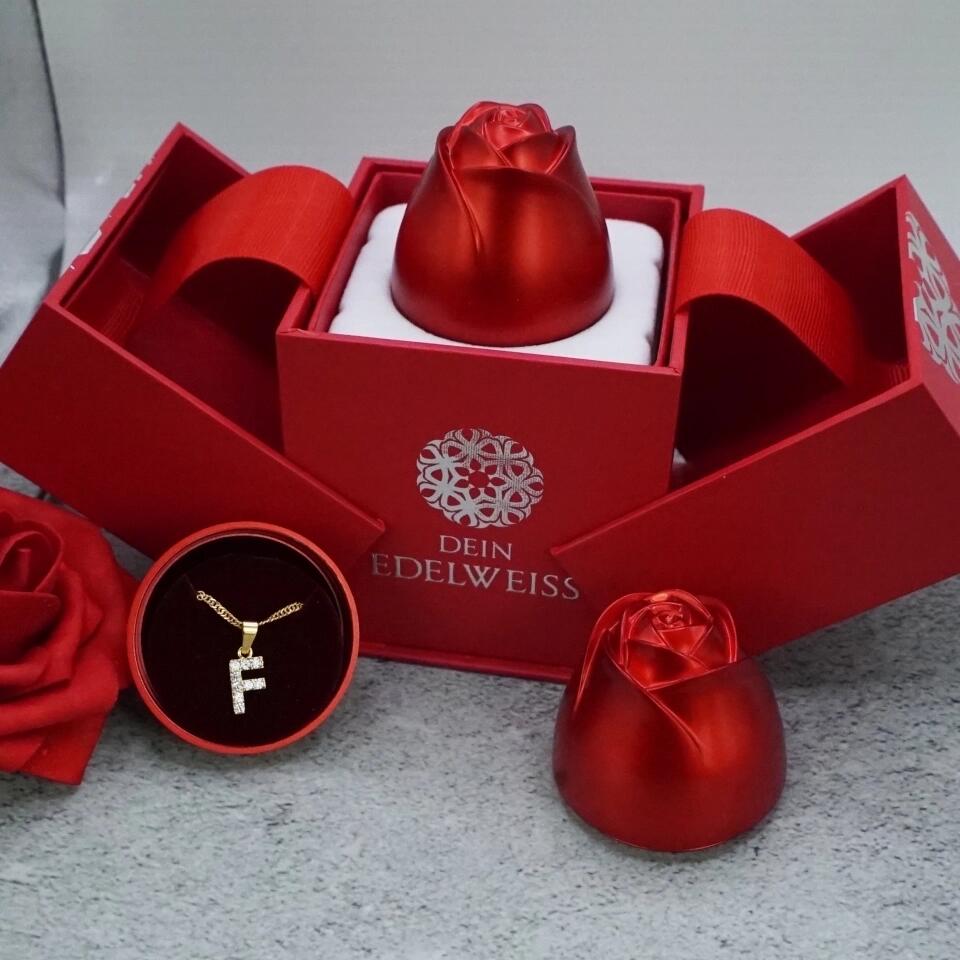Personalisierte Zirkonia-Buchstaben-Halskette | Valentinstag