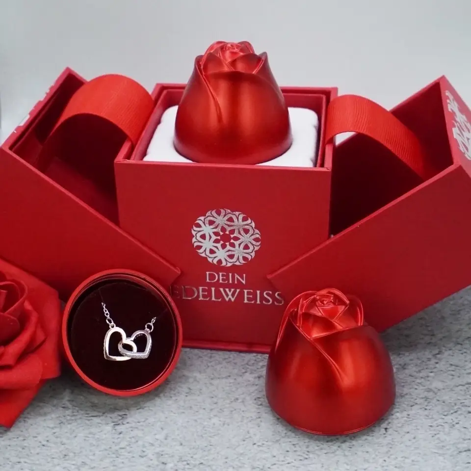 Funkelnde Strassstein-besetzte Doppelherz-Halskette | MUTTERTAG